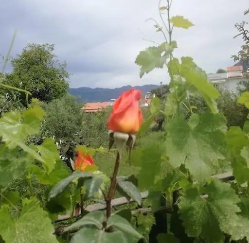 Kate's House Дом отдыха Avia