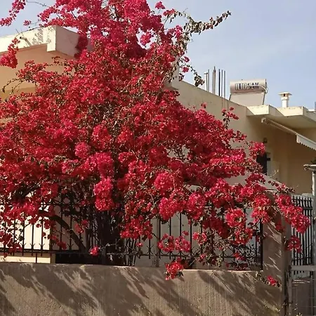 Kate's House Σπίτι διακοπών *